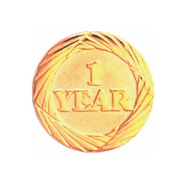 One Year Pin Anniversary Lapel Pins - QuickStarz