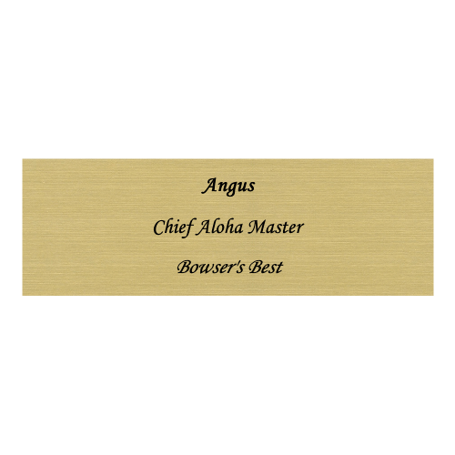 1 x 3 Engraved Name Tag - Customer's Product with price 7.50 ID otnXAt3hjm3vyb2gLhZRgh53
