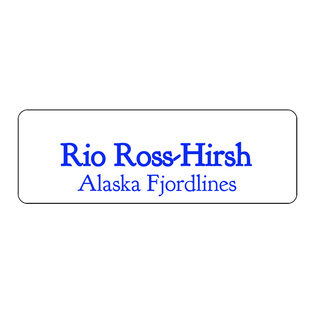 1 x 3 Engraved Name Tag