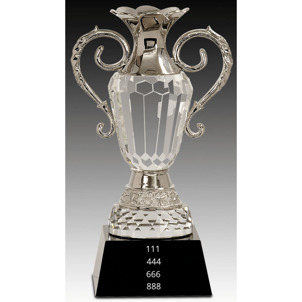Crystal Vase with Silver Handles - Customer's Product with price 149.00 ID SuMv5zQYyqYdVLkvicaI2J5G