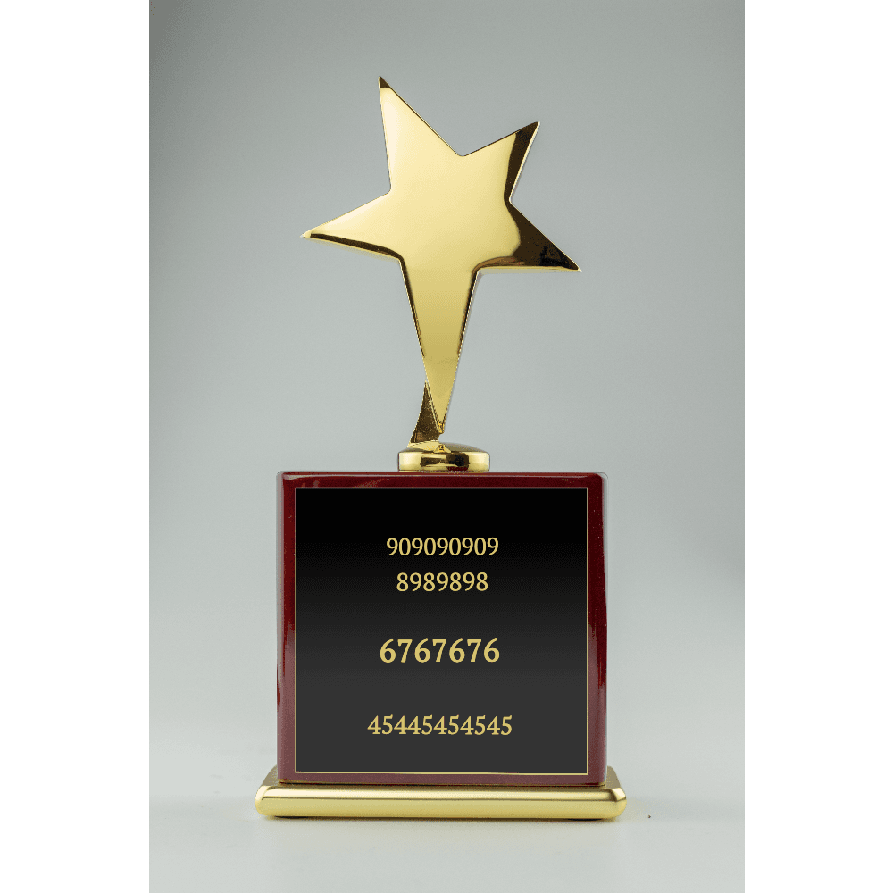 Gold Star Award - Customer's Product with price 99.00 ID mTNLyEnpuh5siuwTok1UfpYG