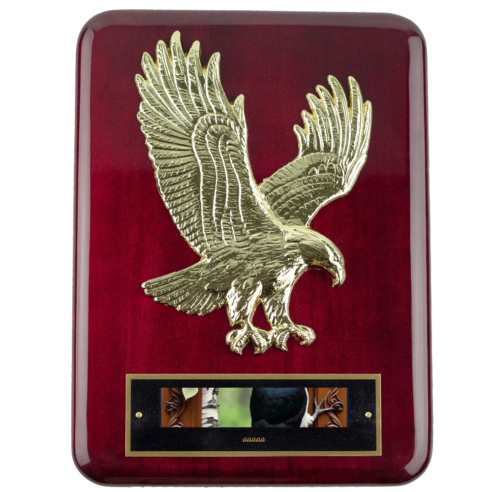 9"x12" Soaring Eagle Plaque - Customer's Product with price 89.00 ID USffSNe0IVQ0twBC9nctiElV