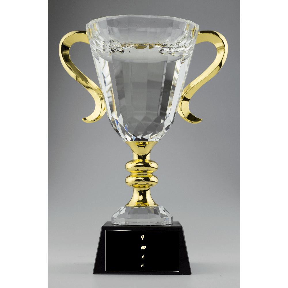 Crystal Cup with Gold Handles - Customer's Product with price 149.00 ID CVhATF3RdvbzPE11EkaevG5m