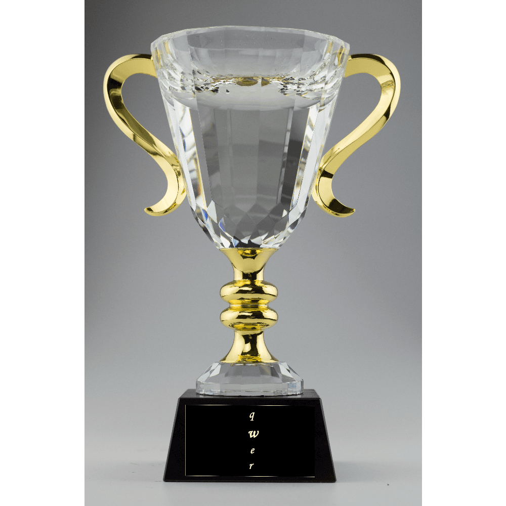 Crystal Cup with Gold Handles - Customer's Product with price 149.00 ID -rIhr50CZV9SjIEJGDpixApb