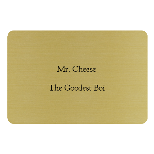 2 x 3 Engraved Name Tag - Customer's Product with price 7.50 ID LRhsJUahSVQxEQQD80MVMjhi