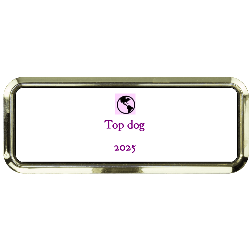 1 x 3 Color Printed Metal Name Tag - Customer's Product with price 12.50 ID xwgJEjfzAaNRQMeGWj1eX-4x