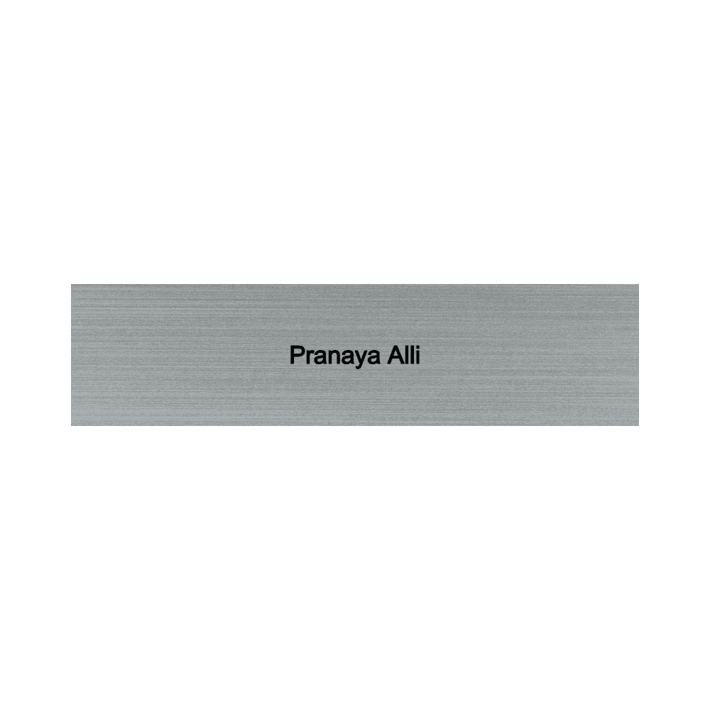 2 x 8 Engraved Desk Name Plate - Customer's Product with price 9.00 ID L4oRcRNFLpOPAadFk--_0WJJ