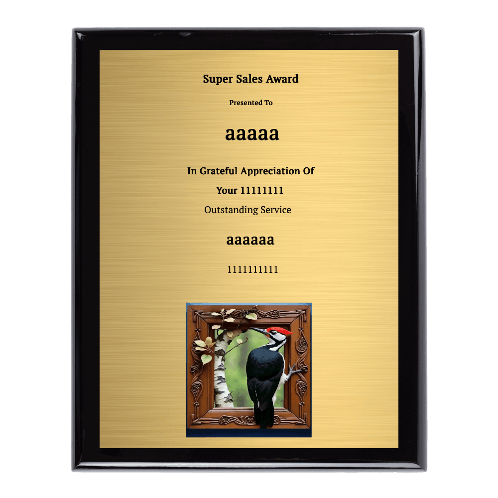 9"x12" Full Color Plaque - Customer's Product with price 49.99 ID DS2zPSIjiZM7b3yIq_Z-g02v