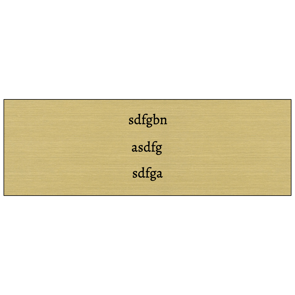 1x3 Engraved Name Tag with Logo - Customer's Product with price 6.00